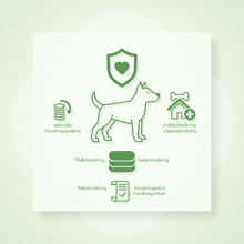 Hvad er den bedste hundeforsikring?