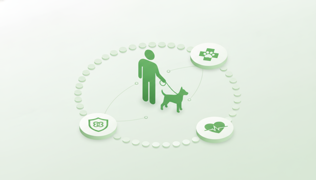 minimalist comparison scene showing a dog owner choosing between three insurance options with icons for liability, vet care, and life coverage