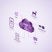 Hvor langt rækker 1000 GB data?
