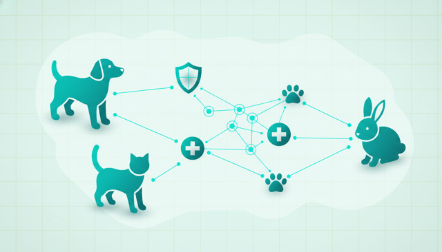 clean flat illustration of a dog, cat, and rabbit each paired with a shield, a medical cross, and a paw icon, showing pet insurance coverage choices